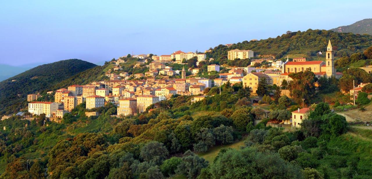 Belvedere De Apartment *