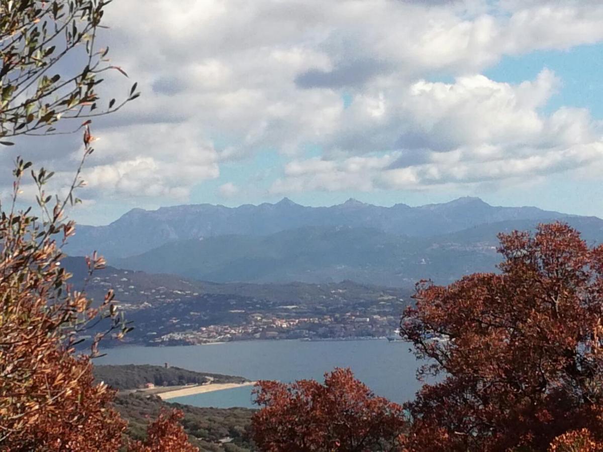 Belvedere De *
