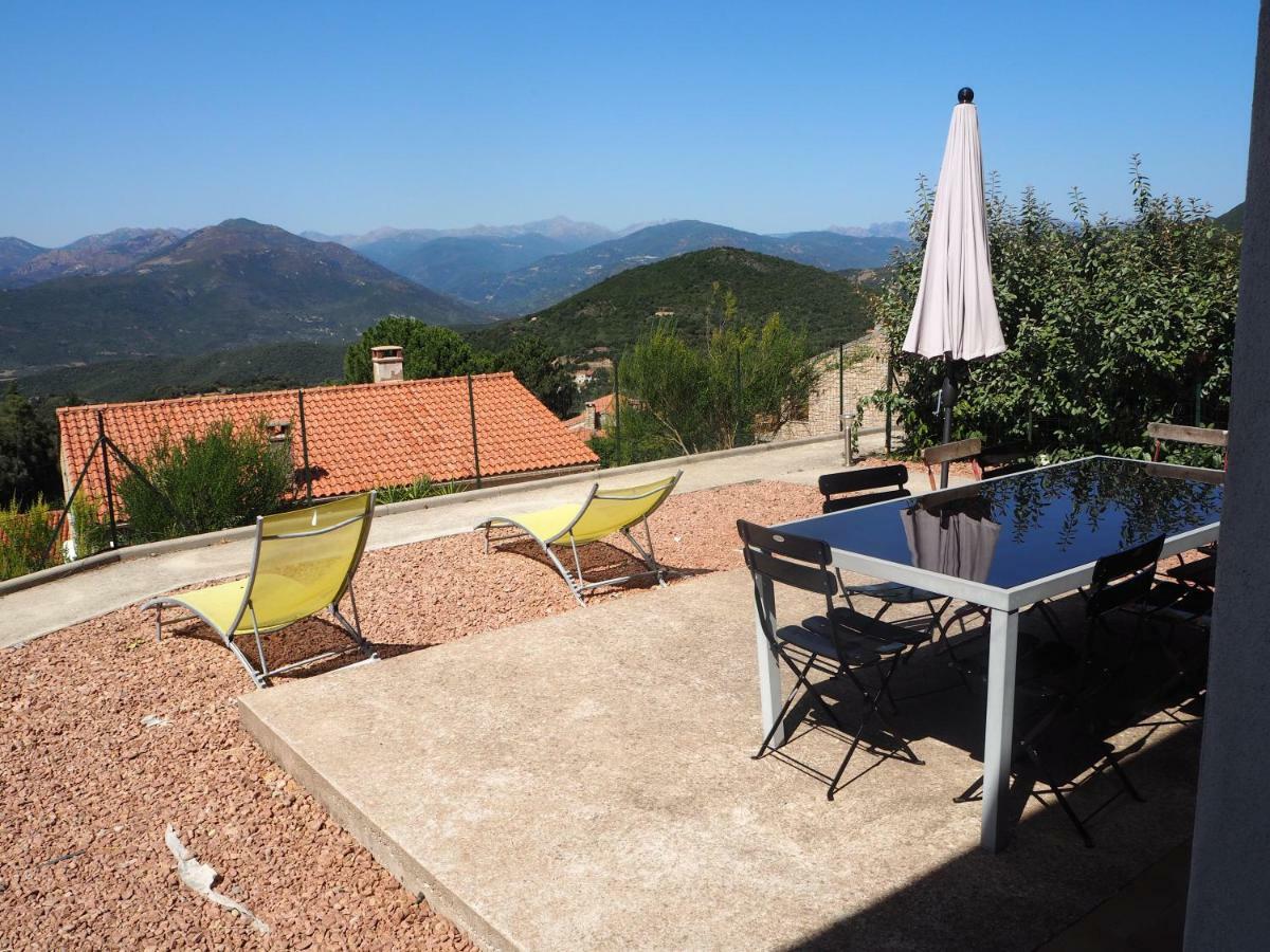 Appartement Belvedere De *